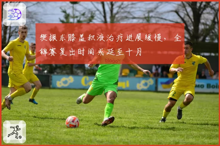 樊振东膝盖积液治疗进展缓慢,全锦赛复出时间或延至十月