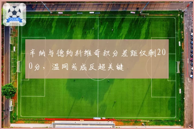 辛纳与德约科维奇积分差距仅剩200分,温网或成反超关键