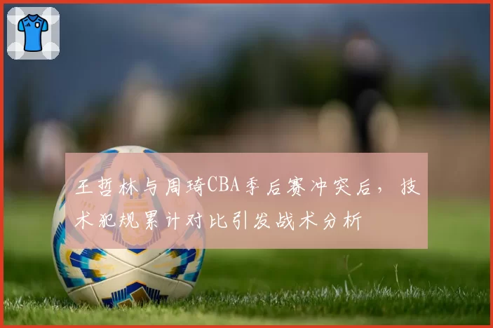 王哲林与周琦CBA季后赛冲突后，技术犯规累计对比引发战术分析